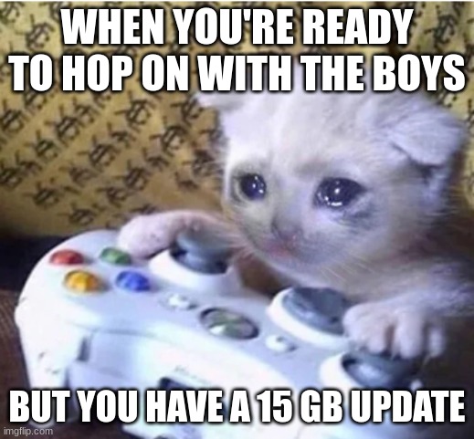 utter disappointment in one image | WHEN YOU'RE READY TO HOP ON WITH THE BOYS; BUT YOU HAVE A 15 GB UPDATE | image tagged in sad gaming cat,cats,gaming | made w/ Imgflip meme maker