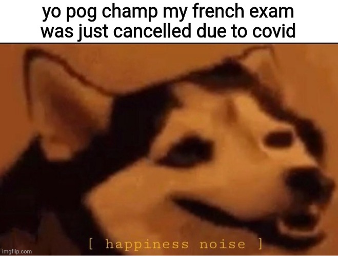 LETS GOOOOOO IM SO BAD AT FRENCH |  yo pog champ my french exam was just cancelled due to covid | image tagged in happines noise | made w/ Imgflip meme maker