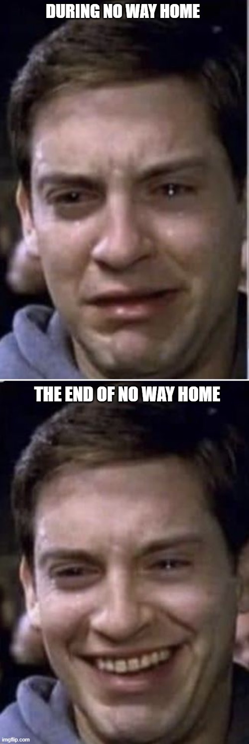 No Way Home Feelings | DURING NO WAY HOME; THE END OF NO WAY HOME | image tagged in spiderman peter parker,spiderman,marvel | made w/ Imgflip meme maker