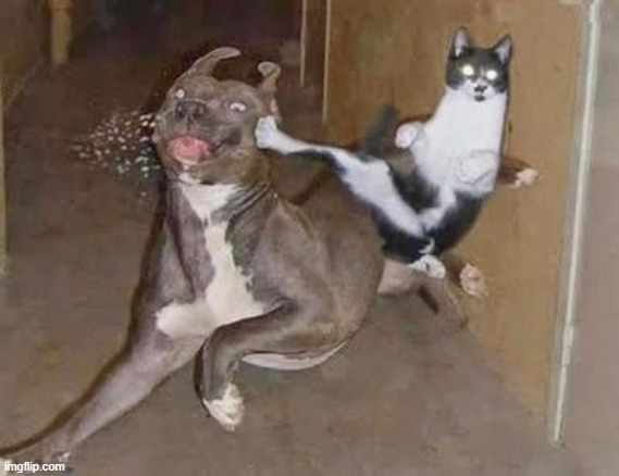 GET REKT | image tagged in get rekt | made w/ Imgflip meme maker