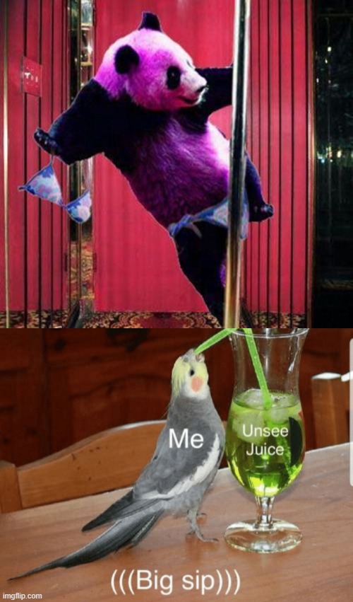 PASS THE UNSEE JUICE PLESE | image tagged in panda stripper,unsee juice | made w/ Imgflip meme maker