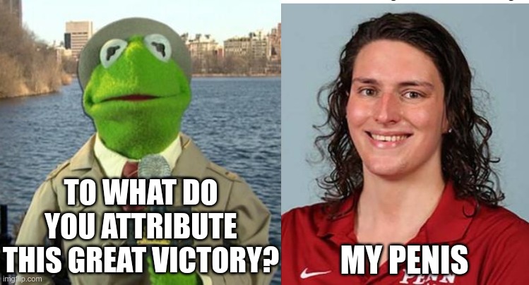 TO WHAT DO YOU ATTRIBUTE THIS GREAT VICTORY? MY PENIS | image tagged in kermit news report | made w/ Imgflip meme maker