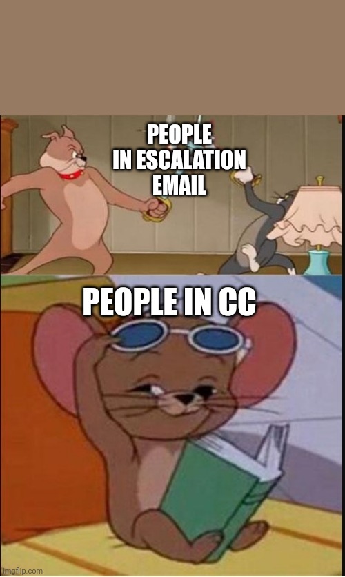 Tom Jerry | PEOPLE IN ESCALATION EMAIL; PEOPLE IN CC | image tagged in tom and spike fighting | made w/ Imgflip meme maker