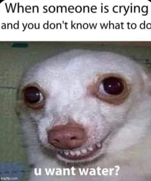 doggo meme | image tagged in memes,funny | made w/ Imgflip meme maker