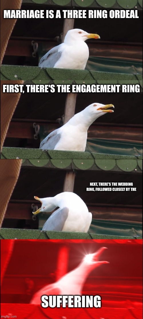 marriage | MARRIAGE IS A THREE RING ORDEAL; FIRST, THERE'S THE ENGAGEMENT RING; NEXT, THERE'S THE WEDDING RING, FOLLOWED CLOSELY BY THE; SUFFERING | image tagged in memes,inhaling seagull,marriage | made w/ Imgflip meme maker