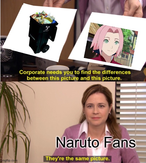 Idk | Naruto Fans | image tagged in memes,they're the same picture | made w/ Imgflip meme maker