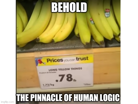 Logic at its finest | BEHOLD; THE PINNACLE OF HUMAN LOGIC | image tagged in banana,long yellow things | made w/ Imgflip meme maker
