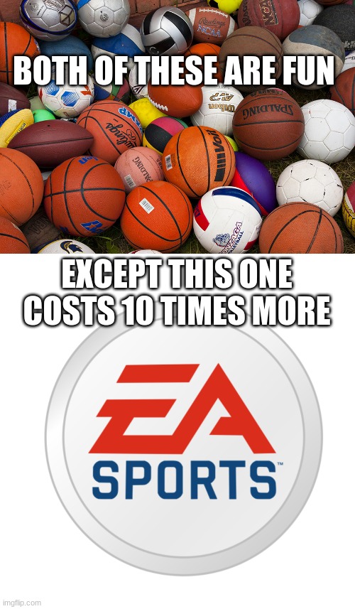 BOTH OF THESE ARE FUN; EXCEPT THIS ONE COSTS 10 TIMES MORE | image tagged in sports balls,ea sports | made w/ Imgflip meme maker