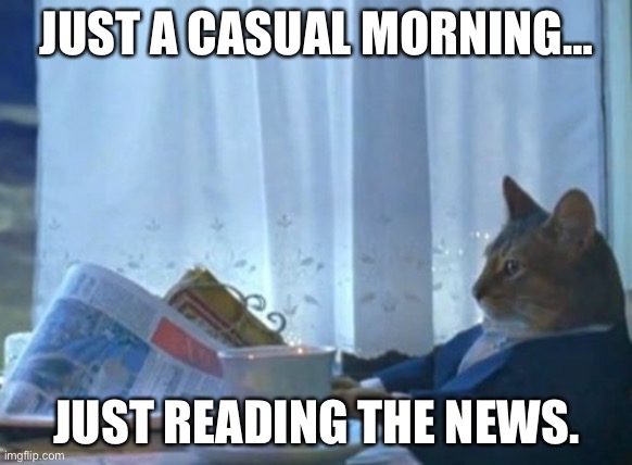 Just another morning | JUST A CASUAL MORNING…; JUST READING THE NEWS. | image tagged in memes,i should buy a boat cat,funny,fun,funny meme,true | made w/ Imgflip meme maker