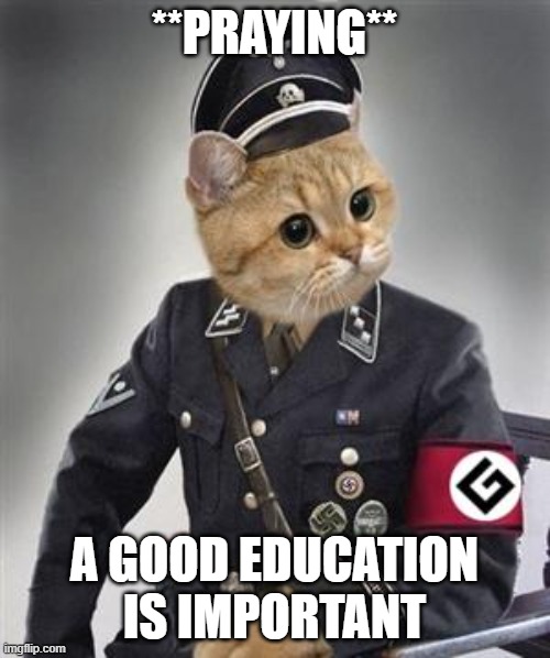 Grammar Nazi Cat | **PRAYING** A GOOD EDUCATION IS IMPORTANT | image tagged in grammar nazi cat | made w/ Imgflip meme maker
