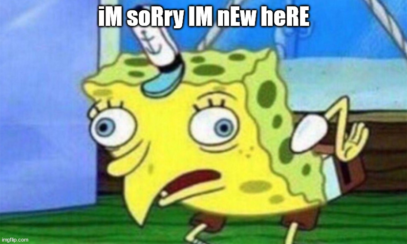 spongebob stupid | iM soRry IM nEw heRE | image tagged in spongebob stupid | made w/ Imgflip meme maker