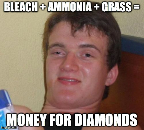 10 Guy Meme | BLEACH + AMMONIA + GRASS = MONEY FOR DIAMONDS | image tagged in memes,10 guy | made w/ Imgflip meme maker