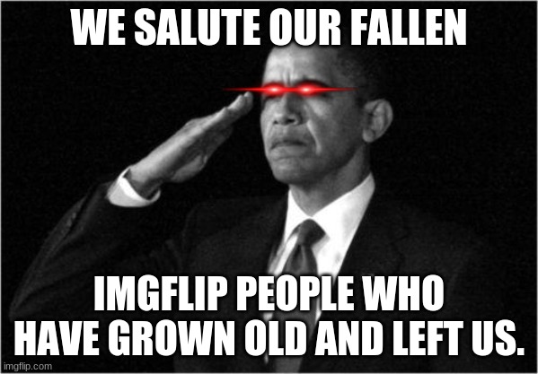 Im crying | WE SALUTE OUR FALLEN; IMGFLIP PEOPLE WHO HAVE GROWN OLD AND LEFT US. | image tagged in obama-salute | made w/ Imgflip meme maker