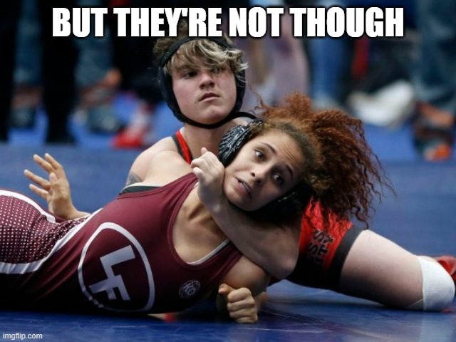 Mixed Wrestling | BUT THEY'RE NOT THOUGH | image tagged in mixed wrestling | made w/ Imgflip meme maker