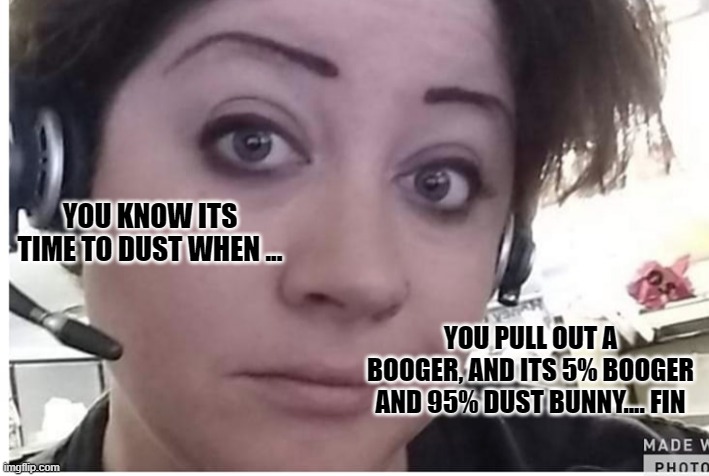 Dust bunny Booger | YOU KNOW ITS TIME TO DUST WHEN ... YOU PULL OUT A BOOGER, AND ITS 5% BOOGER AND 95% DUST BUNNY.... FIN | image tagged in humor | made w/ Imgflip meme maker