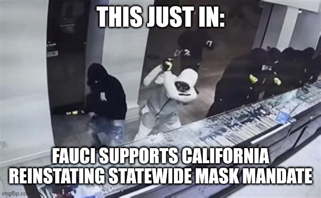 FAUCI SUPPORTS SMASH AND GRAB | THIS JUST IN:; FAUCI SUPPORTS CALIFORNIA REINSTATING STATEWIDE MASK MANDATE | image tagged in fauci approves ca mask mandate,smash,grab,dr fauci,theft,hood | made w/ Imgflip meme maker