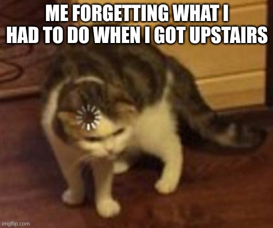 cat go *windows sound* | ME FORGETTING WHAT I HAD TO DO WHEN I GOT UPSTAIRS | image tagged in loading cat | made w/ Imgflip meme maker