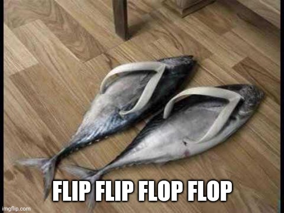 Fish Flops | FLIP FLIP FLOP FLOP | image tagged in fish flops | made w/ Imgflip meme maker