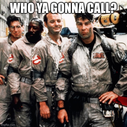 Ghostbusters  | WHO YA GONNA CALL? | image tagged in ghostbusters | made w/ Imgflip meme maker