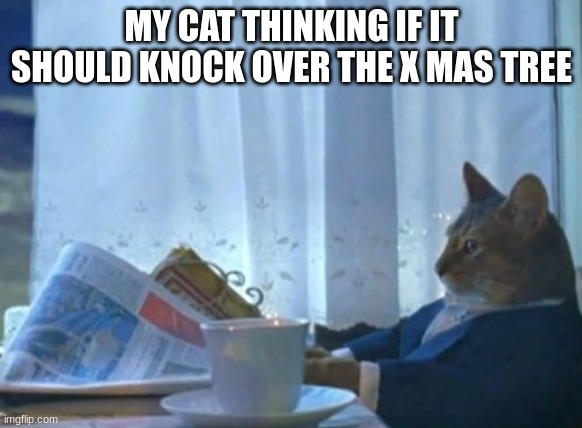 meow | MY CAT THINKING IF IT SHOULD KNOCK OVER THE X MAS TREE | image tagged in memes,i should buy a boat cat | made w/ Imgflip meme maker