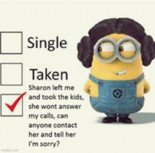 She took the kids | image tagged in memes,funny,she took the kids,karen,minions | made w/ Imgflip meme maker