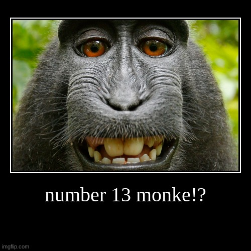 monke | image tagged in funny,demotivationals | made w/ Imgflip demotivational maker