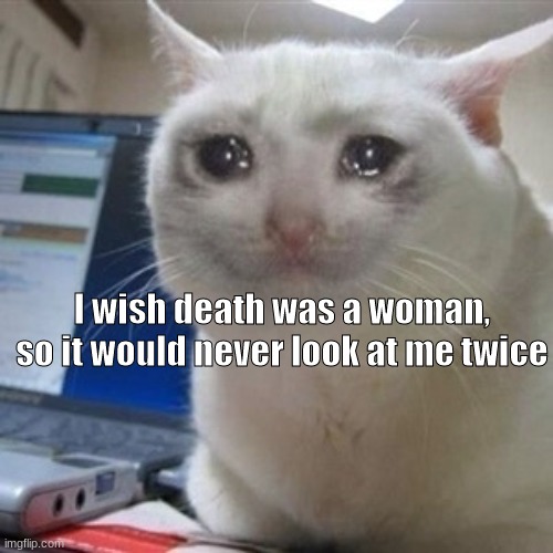 I'm 0 for 5 on girls | I wish death was a woman, so it would never look at me twice | image tagged in crying cat | made w/ Imgflip meme maker