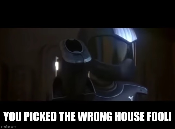 You came into the wrong house | YOU PICKED THE WRONG HOUSE FOOL! | image tagged in you came into the wrong house | made w/ Imgflip meme maker