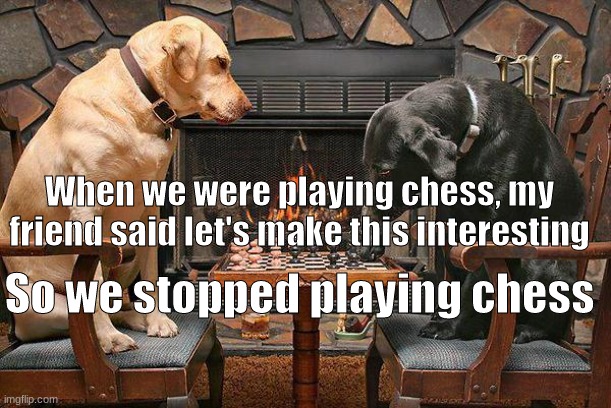 Chess is so boring | When we were playing chess, my friend said let's make this interesting; So we stopped playing chess | image tagged in dogs playing chess | made w/ Imgflip meme maker