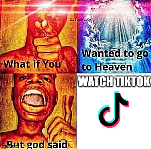 What if You Wanted to go to Heaven but God Said |  WATCH TIKTOK | image tagged in what if you wanted to go to heaven but god said | made w/ Imgflip meme maker