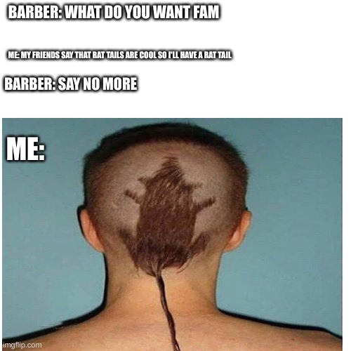 BARBER: WHAT DO YOU WANT FAM; ME: MY FRIENDS SAY THAT RAT TAILS ARE COOL SO I'LL HAVE A RAT TAIL; BARBER: SAY NO MORE; ME: | image tagged in funny | made w/ Imgflip meme maker