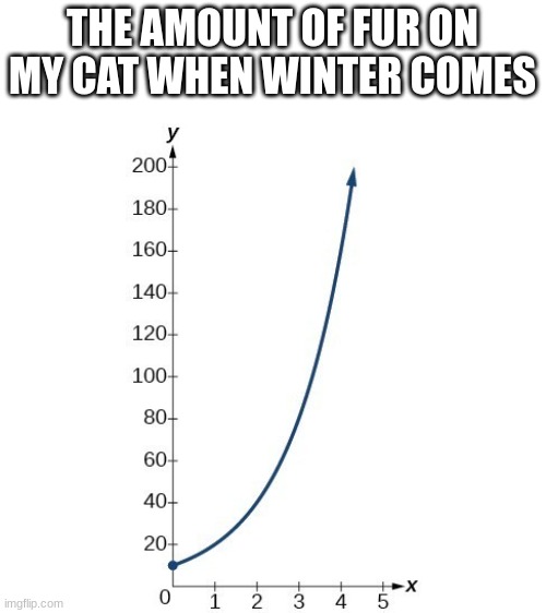 Creative title | THE AMOUNT OF FUR ON MY CAT WHEN WINTER COMES | image tagged in rapid rise | made w/ Imgflip meme maker