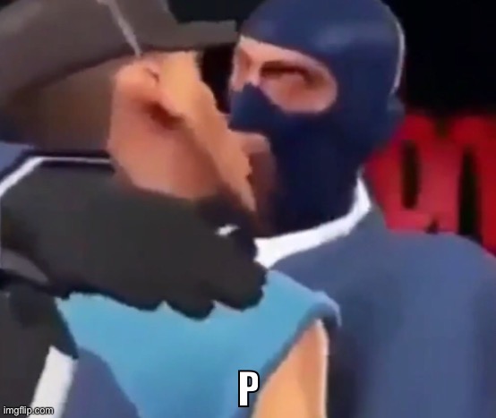 The p | image tagged in the p | made w/ Imgflip meme maker