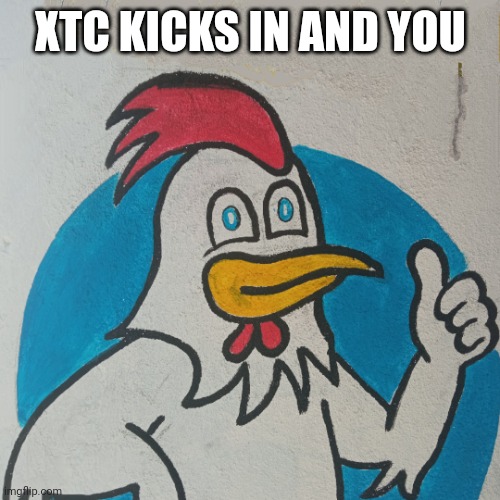 Chicken xtc | XTC KICKS IN AND YOU | image tagged in whatever chicken,oh yeah | made w/ Imgflip meme maker