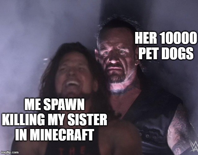 ??‍♀️?? | HER 10000 PET DOGS; ME SPAWN KILLING MY SISTER IN MINECRAFT | image tagged in undertaker | made w/ Imgflip meme maker