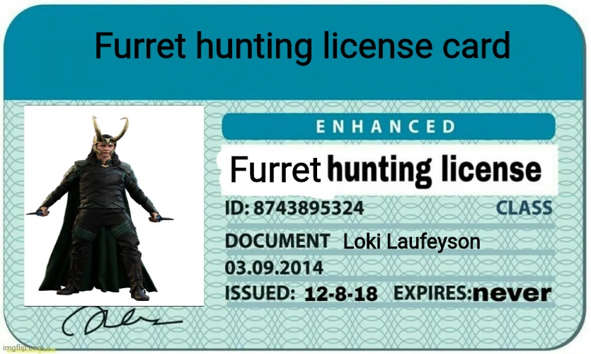 Furret Hunting license card | Furret hunting license card; Furret; Loki Laufeyson | image tagged in furry hunting license | made w/ Imgflip meme maker