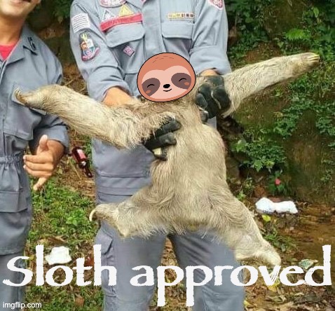 Sloth sloth | Sloth approved | image tagged in sloth sloth | made w/ Imgflip meme maker