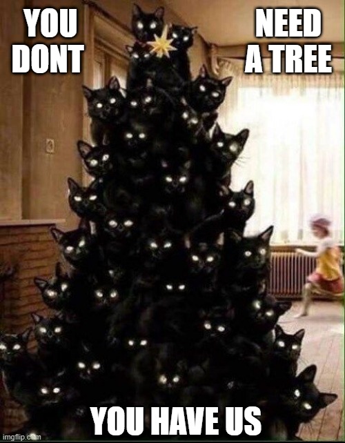 MEANWHILE AT THE CRAZY CAT LADIES HOUSE: | YOU DONT; NEED A TREE; YOU HAVE US | image tagged in cats,funny cats,cursed image,christmas memes | made w/ Imgflip meme maker