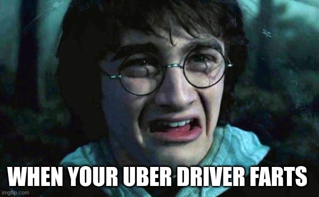 Uber driver farts | WHEN YOUR UBER DRIVER FARTS | image tagged in harry potter disgusted,farts,uber,driver,bad smell | made w/ Imgflip meme maker