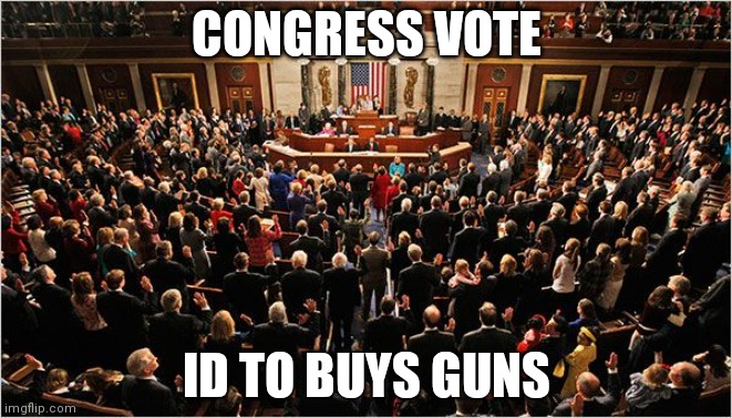 Changed it | CONGRESS VOTE; ID TO BUYS GUNS | image tagged in congress | made w/ Imgflip meme maker