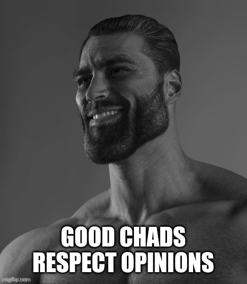 Giga Chad | GOOD CHADS RESPECT OPINIONS | image tagged in giga chad | made w/ Imgflip meme maker