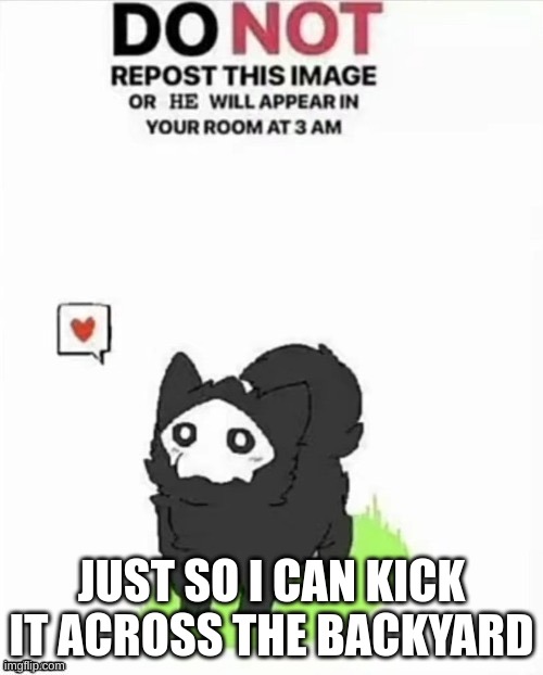 JUST SO I CAN KICK IT ACROSS THE BACKYARD | made w/ Imgflip meme maker