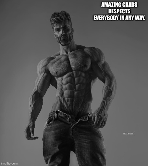 giga chad | AMAZING CHADS RESPECTS EVERYBODY IN ANY WAY. | image tagged in giga chad | made w/ Imgflip meme maker