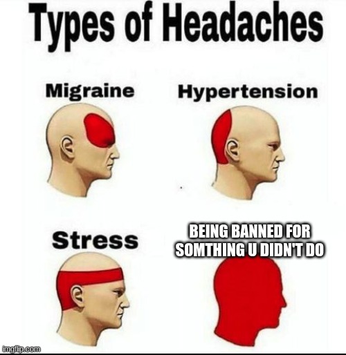 Types of headaches | BEING BANNED FOR SOMTHING U DIDN'T DO | image tagged in types of headaches meme,minecraft | made w/ Imgflip meme maker