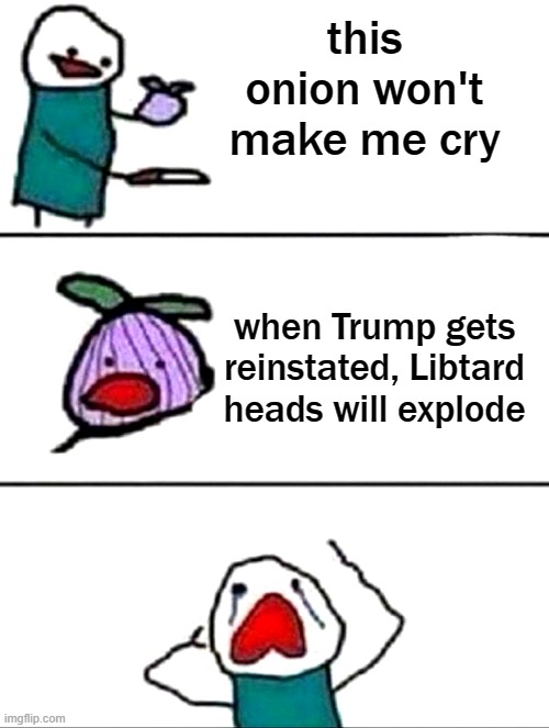 this onion knows how to push Libtard buttons | this onion won't make me cry; when Trump gets reinstated, Libtard heads will explode | image tagged in trump 2020,election 2020,stolen election | made w/ Imgflip meme maker