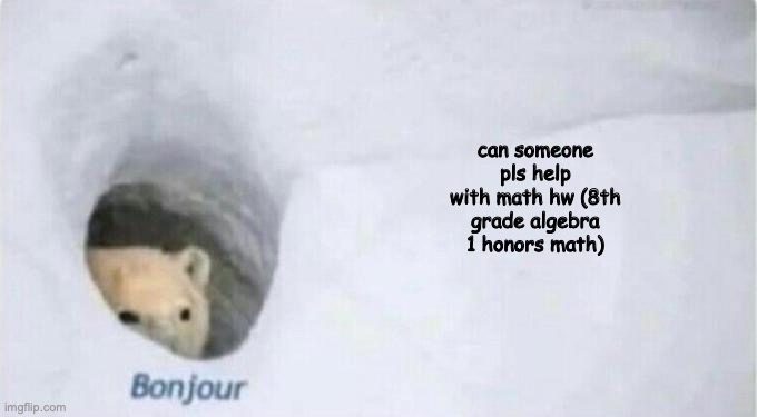 Bonjour Bear | can someone pls help with math hw (8th grade algebra 1 honors math) | image tagged in bonjour bear | made w/ Imgflip meme maker