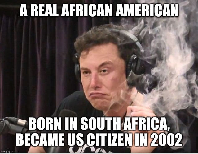 Elon Musk smoking a joint |  A REAL AFRICAN AMERICAN; BORN IN SOUTH AFRICA, BECAME US CITIZEN IN 2002 | image tagged in elon musk smoking a joint | made w/ Imgflip meme maker