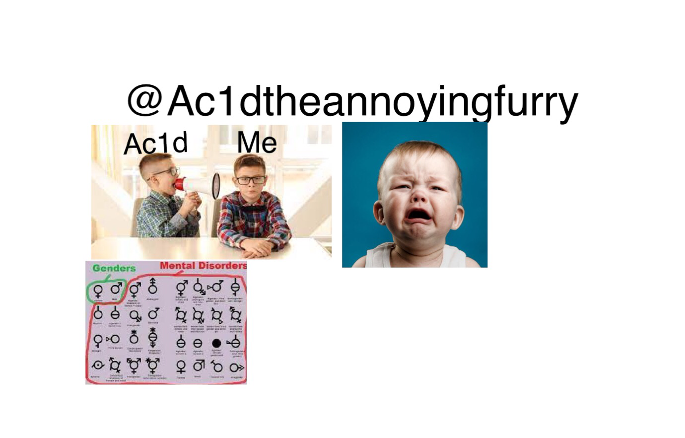 Ac1d is dumb Blank Meme Template