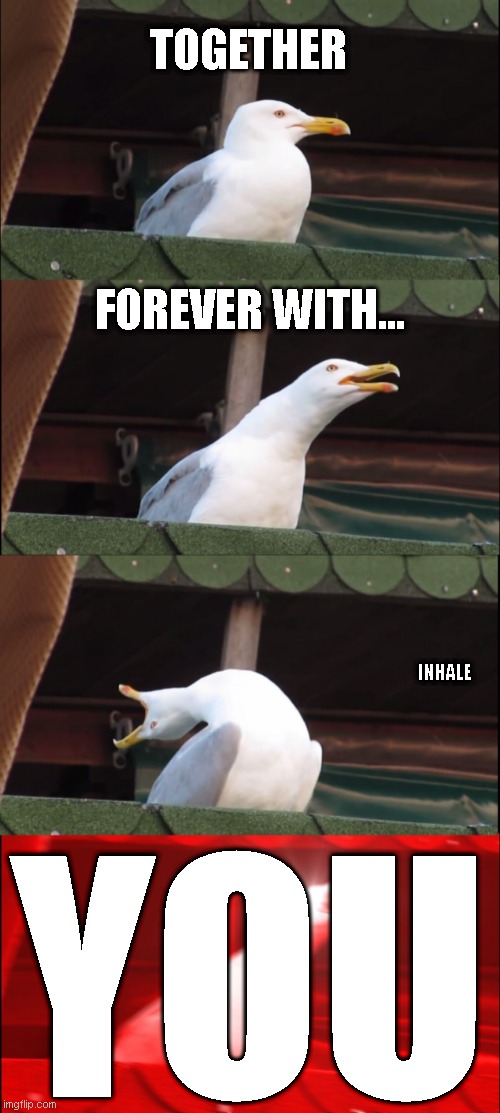 Rick astleys other good song | TOGETHER; FOREVER WITH... INHALE; YOU | image tagged in memes,inhaling seagull | made w/ Imgflip meme maker