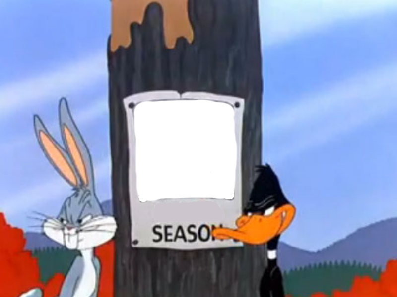High Quality Rabbit season duck season blank Blank Meme Template